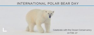 Hail to the polar bears!