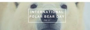 Hail to the polar bears!