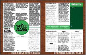 Newsletter Design Layout: Reflection