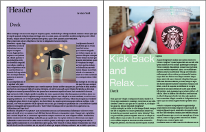 Reflection-Newsletter Draft
