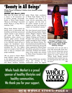 Newsletter Design: Final Draft Reflection