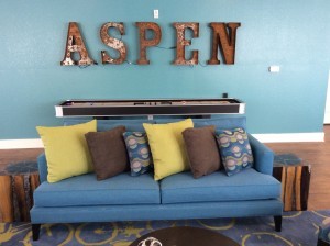 Aspen Aesthetics