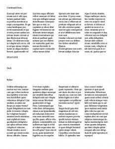 Newsletter Reflection