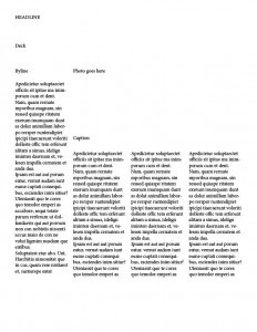 Newsletter Reflection