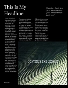 Reflection with Dummy Newsletter