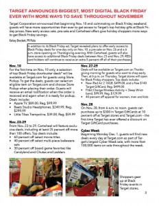 Final Newsletter Reflection