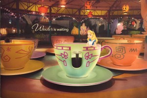 image1-300x200.jpg