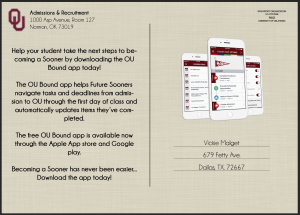 Direct Mailer Reflections