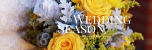 Social Media Designs