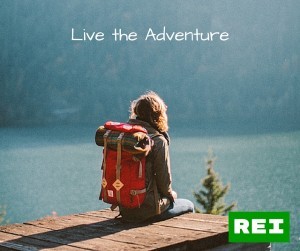 Social Media Reflection Post