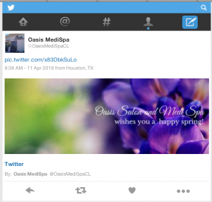 Screen-Shot-2016-04-11-at-11.35.08-AM-300x286.png