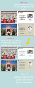 Summary of Learning Project Reflection