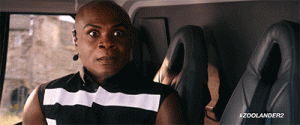 giphy-300x125.gif