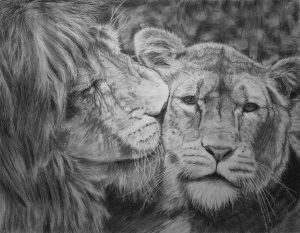 Lion-Love-Drawing-300x233.jpg