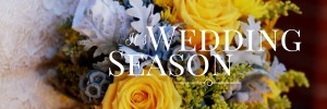 Social Media Graphics